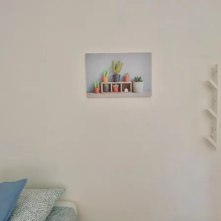 Service - 모두가노